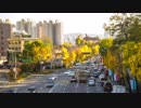 Pexels Videos 1860079　金本朝樹