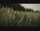 Pexels Videos 1620050　金本朝樹