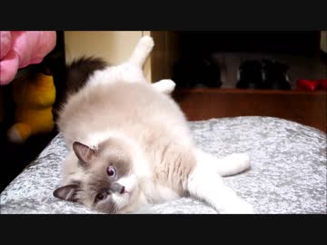 寝転んでいる時、足がピクピクピクッってなる事がありませんか？