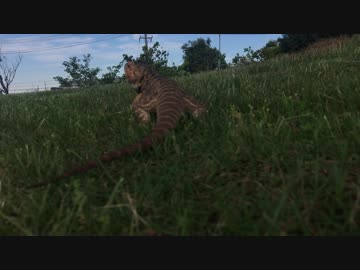 久々の公園にて