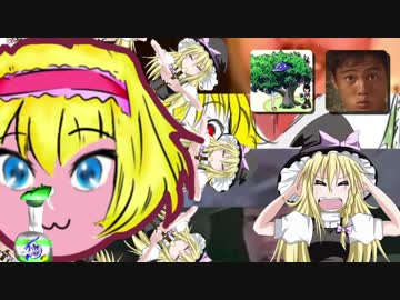 茂みークッキー☆