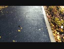 Test_0001.MOV