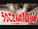 うりこさんの10日間 - 2019#12