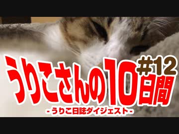 うりこさんの10日間 - 2019#12