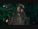 DARK SOULSをクリアすることが出来るのだろうか【緩やかなる実況】PART14