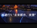 逃避行V 