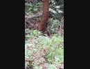 ああー理解