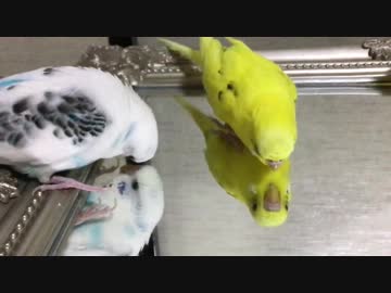 と‥盗撮じゃないんだからねっ(ﾟoﾟ;;