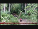 Pampasaherong jeep nahulog sa bangin sa Albay; 10 patay | TV Patrol