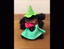 ラルセイ君風のぬいぐるみ作ってみた。