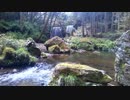 鍋ヶ滝②