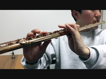 【おじさんだけど】TWICE - "FANCY" Flute cover【吹いてみた】