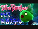 【実況】目が逝っちゃってるスライム発見！！【スライムランチャー】#5
