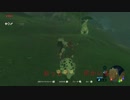 【ゼルダの伝説BotW】ボックリンって一体なにもの・・・？ブレスオブザワイルド＃１【ニンテンドースイッチ】