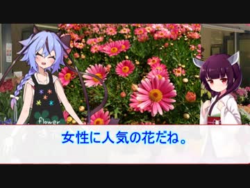 花屋鳴花と物知りきりたん