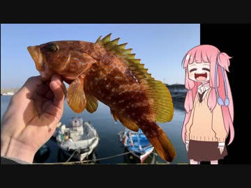 ○○で釣りをしよう！　～第一回島根県浜田市～