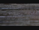 【ニコラップ】MISTAKE -pAng-