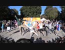 【東大生が】2018駒場祭⑨東大踊々夢【踊ってみた】Part1