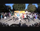 【東大生が】2018駒場祭⑨東大踊々夢【踊ってみた】Part1