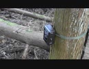 平成最後の狩猟生活(その77)
