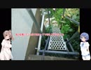 つづみとささらの家庭菜園