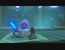 【ゼルダの伝説BotW】タロ・ニヒの祠で盾のレクチャー。効果のほどは・・・？ブレスオブザワイルド＃２【ニンテンドースイッチ】
