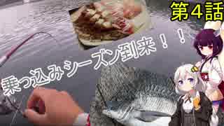 海から遠くても海釣りに行きたい④　かかり釣り！