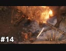 【実況】ゲーム下手でも遊びたいSEKIRO　#14