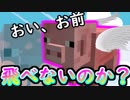 ついに中二病、豚と空中散歩！？あぁ、あとボスラッシュ【Minecraft】 part25
