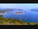 桜の花びらが空から降ってきた。