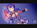 広大な世界を冒険しよう！　CrossCode実況プレイpart25