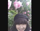綺麗な薔薇roseのﾄﾝﾈﾙwith小山ひな子KoyamaHinako2019(令和1)年5月10日(金)晴