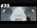 【ゼルダの伝説トワイライトプリンセス】リンクのことゼルダだと思ってた奴挙手【実況プレイ】 Part25