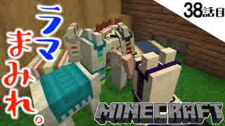 《Minecraft》ラマ、衝撃の結束力！ついに倉庫を造り始めた38話目。《てきとうサバイバル》