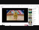 【たろちん】シャザムとピカチュウ面白かったって言ったら終わる配信