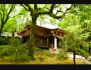 【SEROW】バイクで神社を巡ろう10～谷山神社～