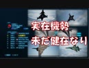 Ace Combat 7 Multiplayer96  バトルロイヤル  Su-34 + HCAA