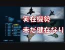 Ace Combat 7 Multiplayer97  バトルロイヤル  Su-34 + HCAA