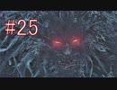 Bloodborne 最高難易度7周目 本編＆DLC全ボス撃破 全ED制覇 実況プレイ #25