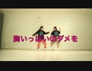 【あわあわはわわ】 胸いっぱいのダメを 【踊ってみた】