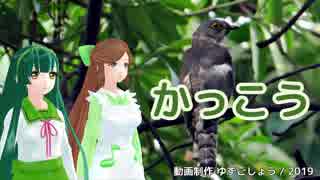【緑咲香澄・東北ずん子】かっこう【CeVIO・VOCALOIDカバー】