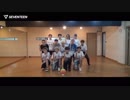 【SEVENTEEN】아낀다 - 4TH_ANNIVERSARY ver.［SPECIAL VIDEO］