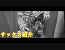 僕のサックスを紹介するぞ！