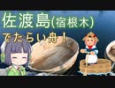 佐渡島の宿根木でたらい舟！ -Seika on the Taraibune-