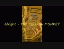 ALRIGHT-THE YELLOW MONKEY covered by and-J