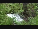 Reekie Linn Waterfall