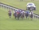[海外競馬]　第46回 ダンテS Magistretti