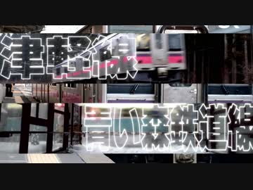 Was the train for Tsugaru-Shinjo one-man?