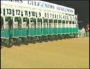 [海外競馬]　第09回 ドバイゴールデンシャヒーン State City