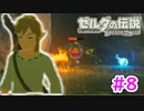 【ゼルダの伝説ブレスオブザワイルド実況】3Dで広大な世界を自由に走り回れる楽しさをおすそ分け！？part8